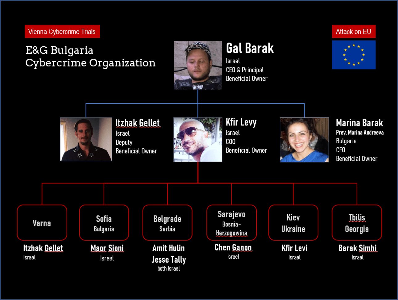 Gal Barak and the Vienna Cybercrime Trial