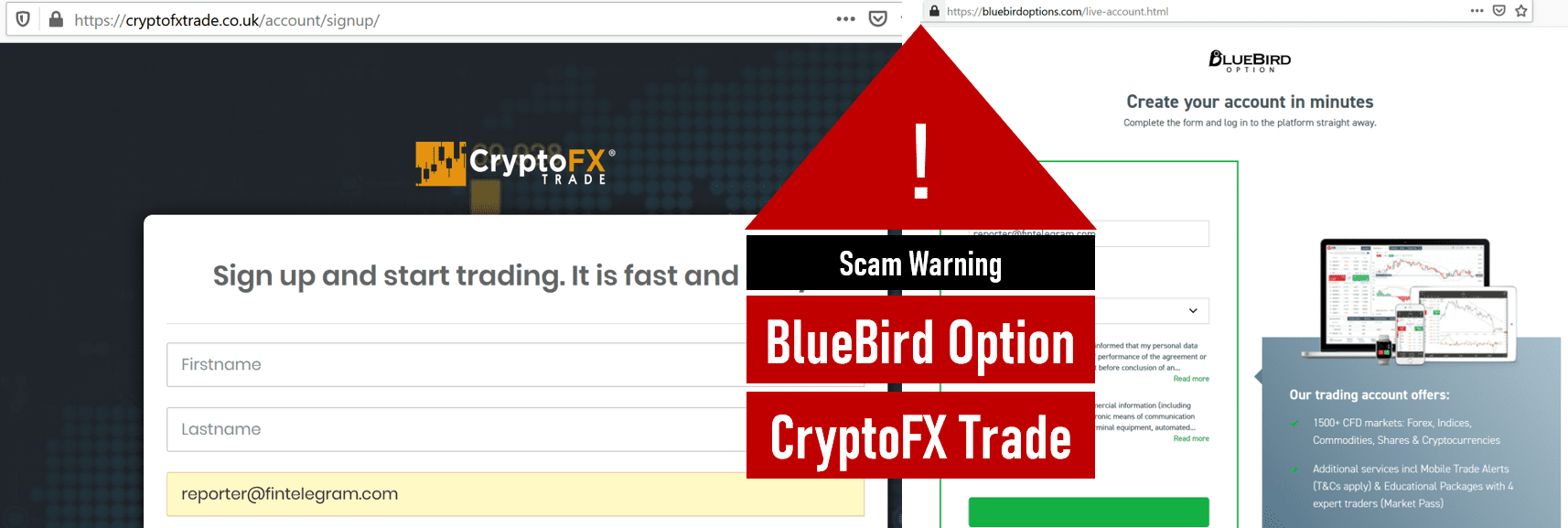 Investor warning against BlueBird Options and CryptoFX scams