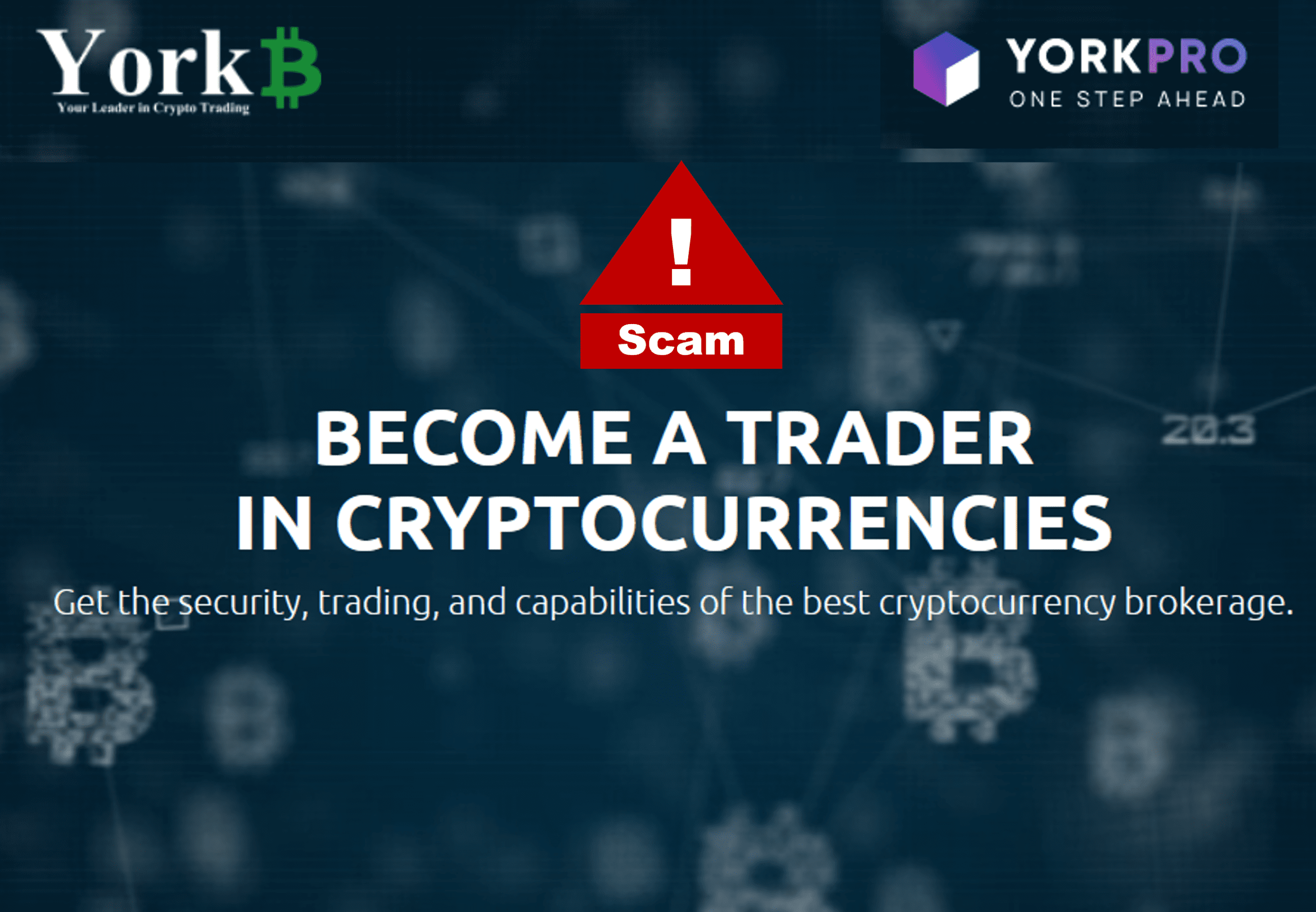 investor warning against YorkPro and YorkBTC broker scams