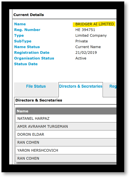 BridgerPay directors Harpaz Turgeman Eldar Cohen an Herchcovich
