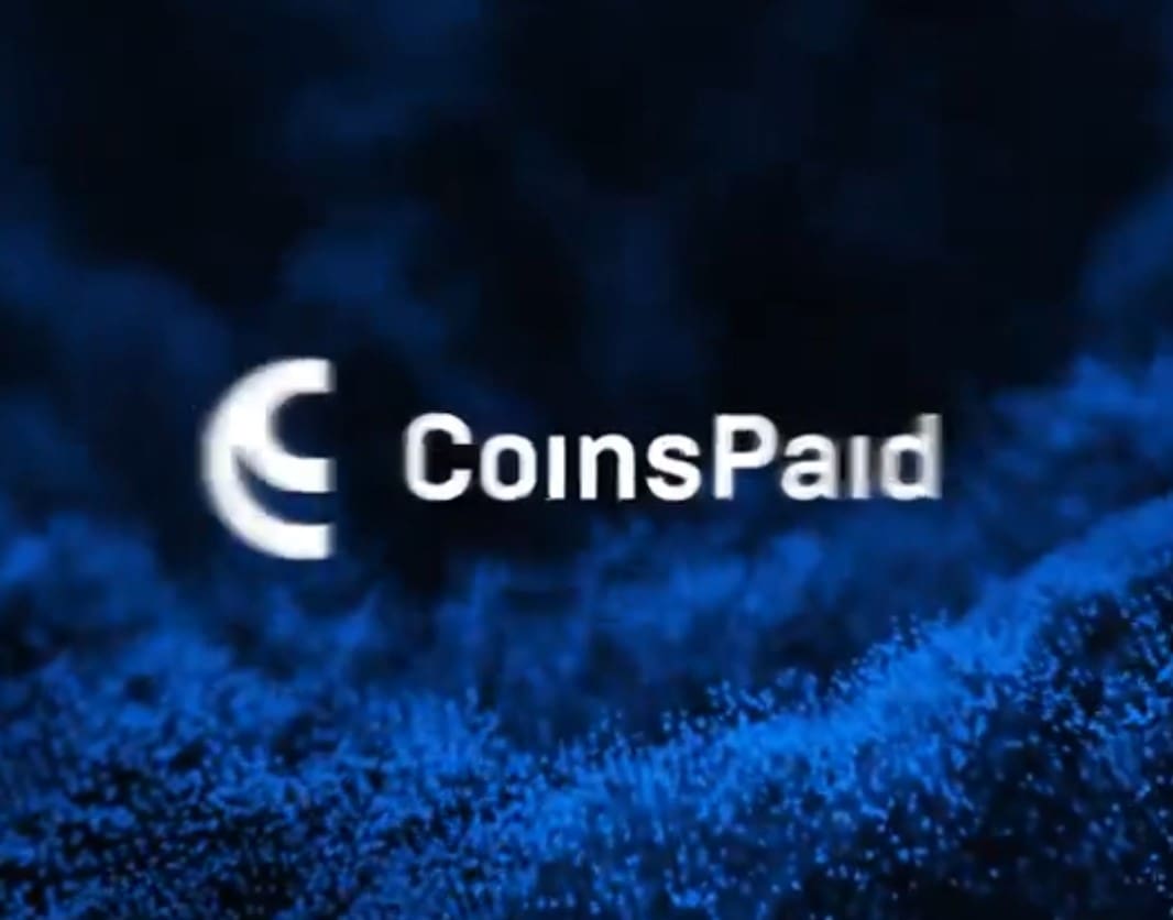 High-Risk payment processor CoinsPaid review on FinTelegram