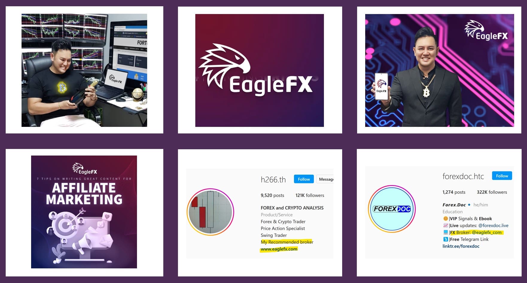 FinTelegram explains the EagleFX scheme