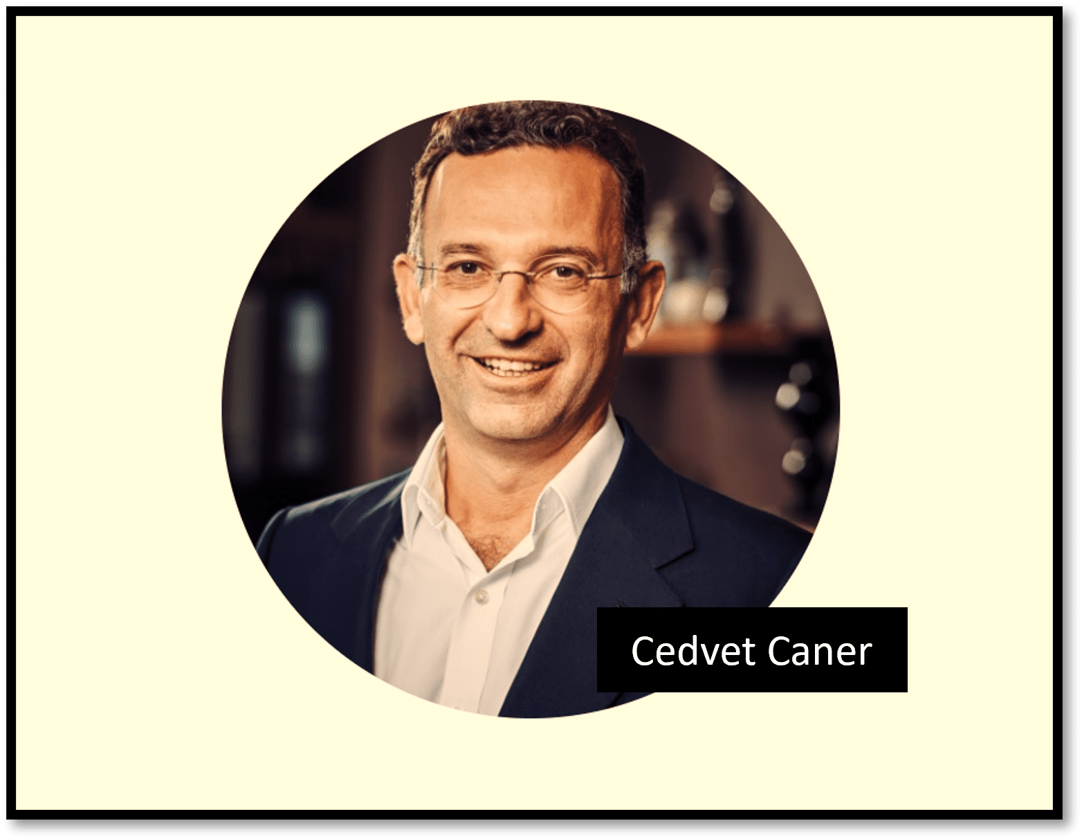 The Austrian real estate investor Cevdet Caner